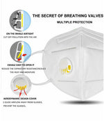 Load image into Gallery viewer, KN95 Grey Face Mask with Air Valve - Singles - Individually Wrapped