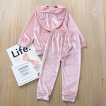 Load image into Gallery viewer, Boys &amp; Girls Velvet Tracksuit Pullover Hooded Sweatshirt &amp; Pants Sets - Back View
