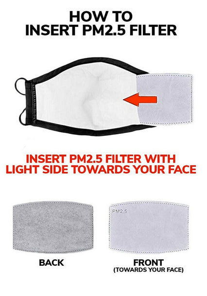 How to insert PM 2.5 Filter